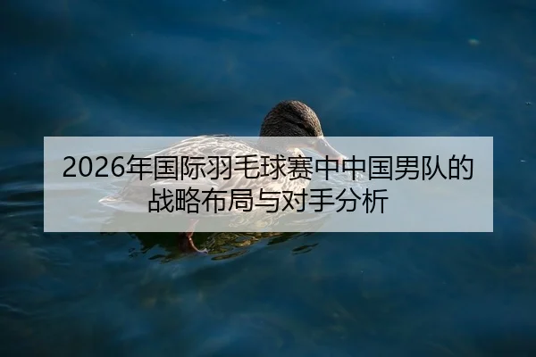 2026年国际羽毛球赛中中国男队的战略布局与对手分析