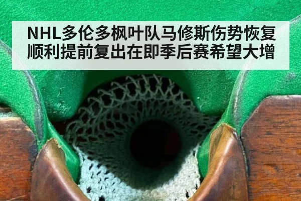 NHL多伦多枫叶队马修斯伤势恢复顺利提前复出在即季后赛希望大增
